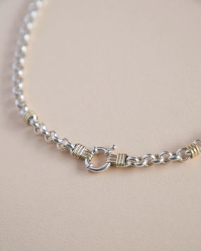 Imagen de Cadena Rolo con oro