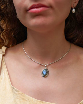 Imagen de Dije Sisu Labradorita