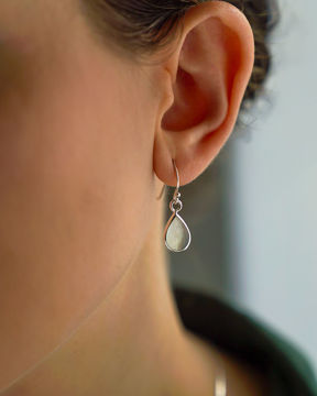 Imagen de Caravanas Amu